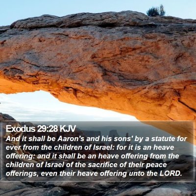 Exodus 29:28 KJV Bible Verse Image