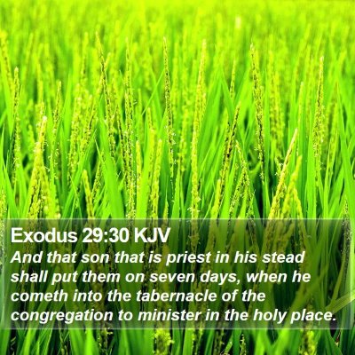 Exodus 29:30 KJV Bible Verse Image