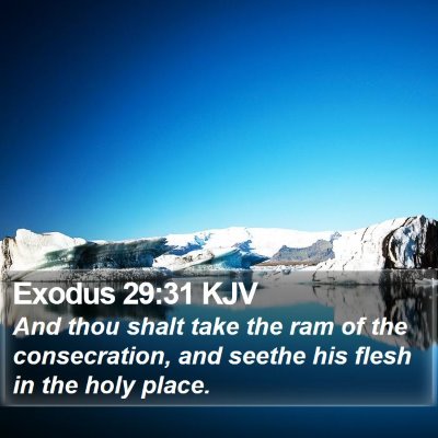 Exodus 29:31 KJV Bible Verse Image