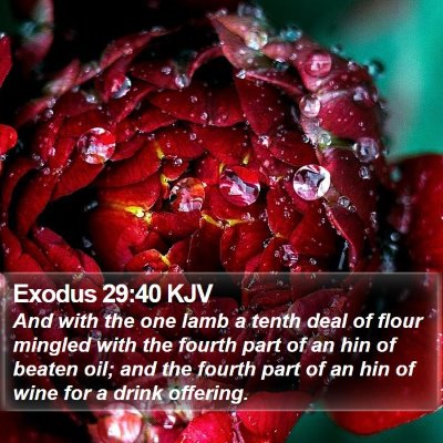 Exodus 29:40 KJV Bible Verse Image