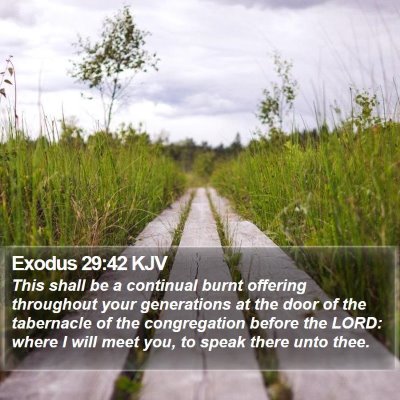 Exodus 29:42 KJV Bible Verse Image