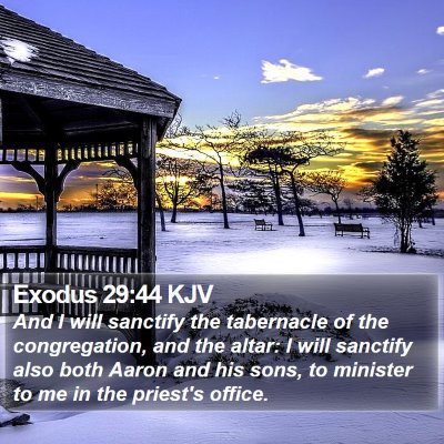Exodus 29:44 KJV Bible Verse Image