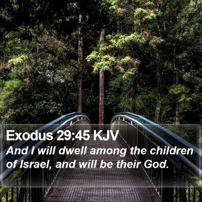 Exodus 29:45 KJV Bible Verse Image