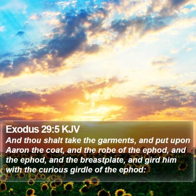 Exodus 29:5 KJV Bible Verse Image
