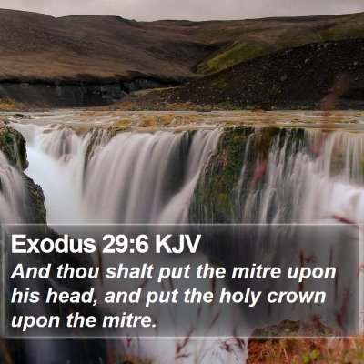 Exodus 29:6 KJV Bible Verse Image