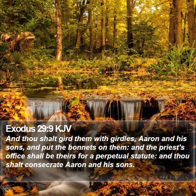 Exodus 29:9 KJV Bible Verse Image
