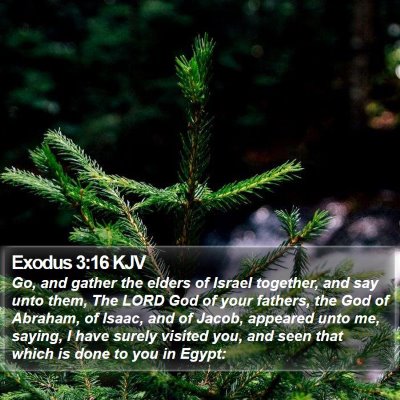 Exodus 3:16 KJV Bible Verse Image