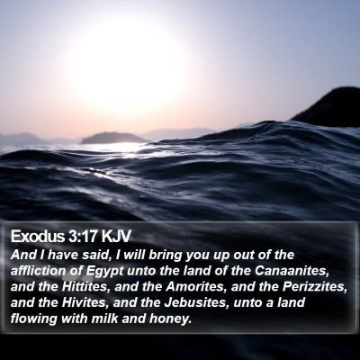 Exodus 3:17 KJV Bible Verse Image