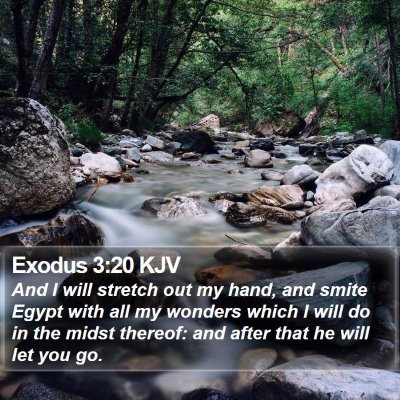 Exodus 3:20 KJV Bible Verse Image