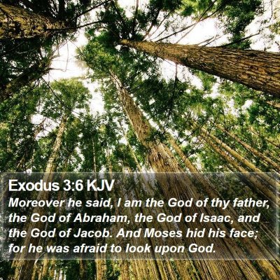 Exodus 3:6 KJV Bible Verse Image