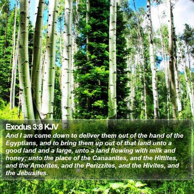 Exodus 3:8 KJV Bible Verse Image