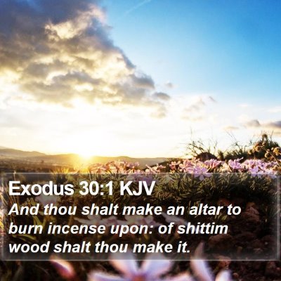 Exodus 30:1 KJV Bible Verse Image