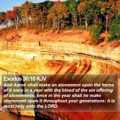 Exodus 30:10 KJV Bible Verse Image