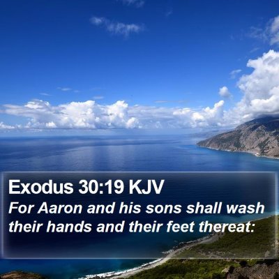 Exodus 30:19 KJV Bible Verse Image