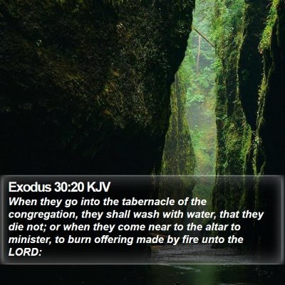 Exodus 30:20 KJV Bible Verse Image