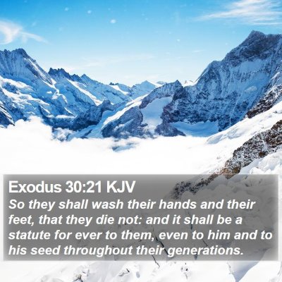 Exodus 30:21 KJV Bible Verse Image