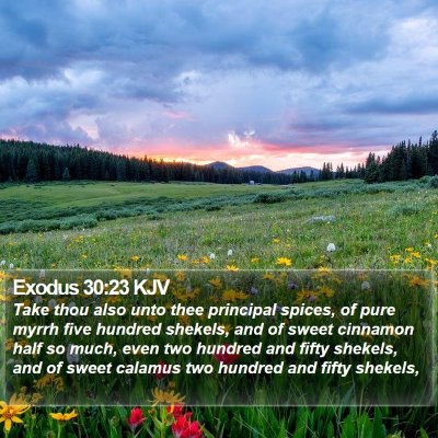 Exodus 30:23 KJV Bible Verse Image