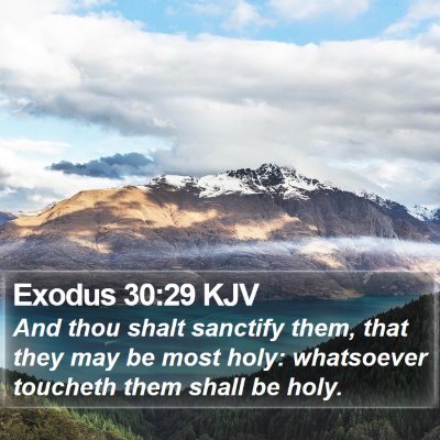 Exodus 30:29 KJV Bible Verse Image