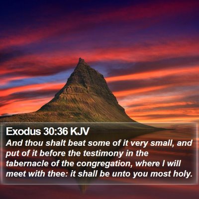 Exodus 30:36 KJV Bible Verse Image