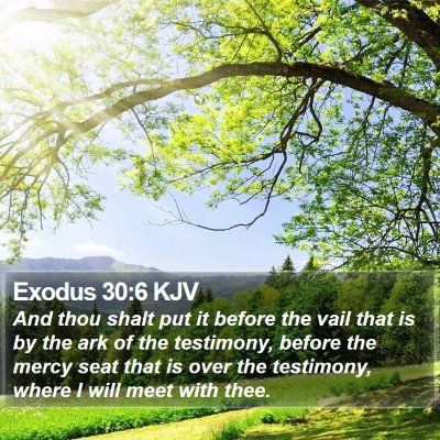 Exodus 30:6 KJV Bible Verse Image