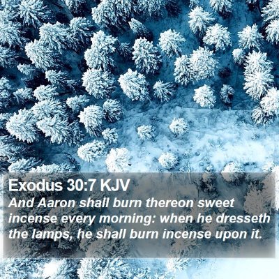 Exodus 30:7 KJV Bible Verse Image