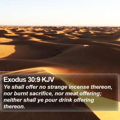Exodus 30:9 KJV Bible Verse Image