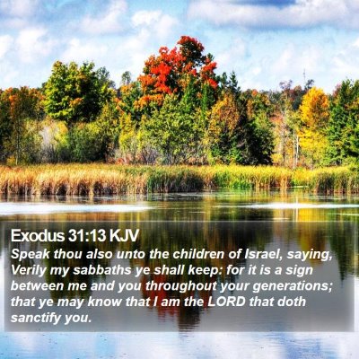 Exodus 31:13 KJV Bible Verse Image