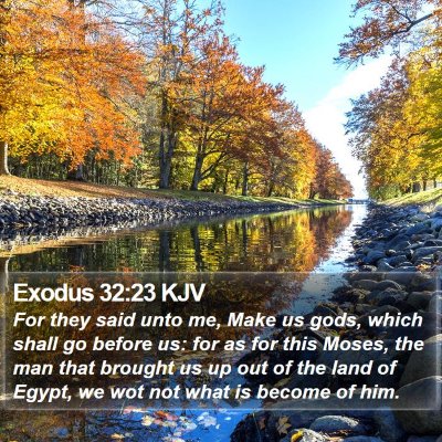 Exodus 32:23 KJV Bible Verse Image