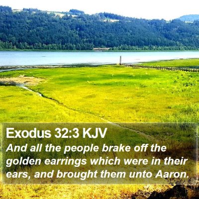 Exodus 32:3 KJV Bible Verse Image