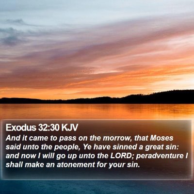 Exodus 32:30 KJV Bible Verse Image