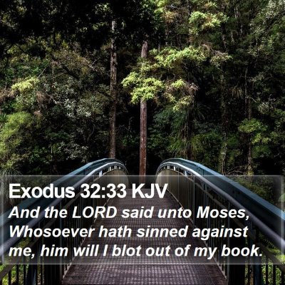 Exodus 32:33 KJV Bible Verse Image