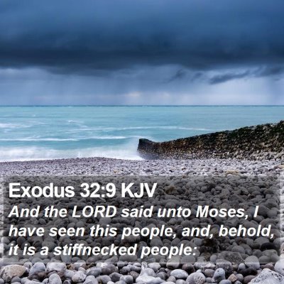 Exodus 32:9 KJV Bible Verse Image
