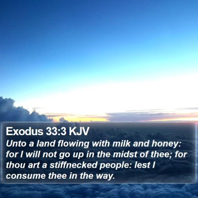 Exodus 33:3 KJV Bible Verse Image