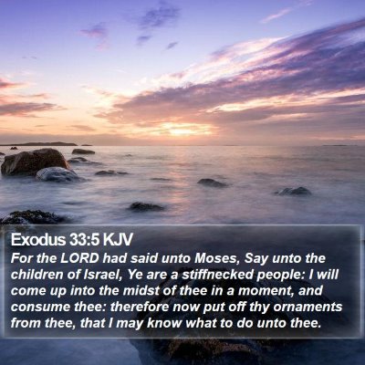 Exodus 33:5 KJV Bible Verse Image
