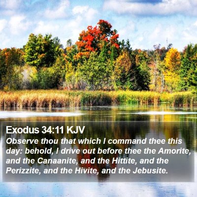 Exodus 34:11 KJV Bible Verse Image