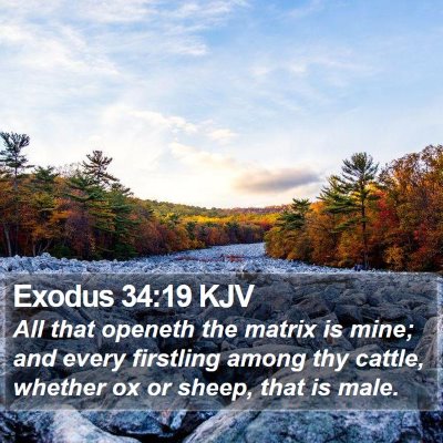 Exodus 34:19 KJV Bible Verse Image