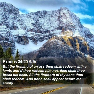 Exodus 34:20 KJV Bible Verse Image