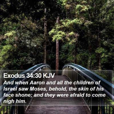 Exodus 34:30 KJV Bible Verse Image