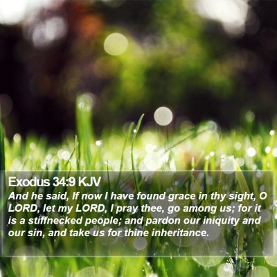 Exodus 34:9 KJV Bible Verse Image