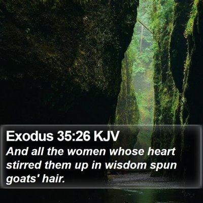 Exodus 35:26 KJV Bible Verse Image