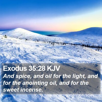 Exodus 35:28 KJV Bible Verse Image