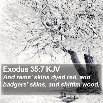 Exodus 35:7 KJV Bible Verse Image