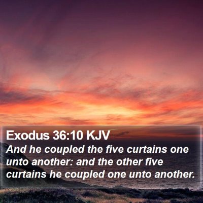 Exodus 36:10 KJV Bible Verse Image