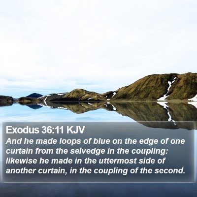 Exodus 36:11 KJV Bible Verse Image