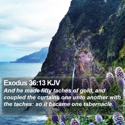Exodus 36:13 KJV Bible Verse Image