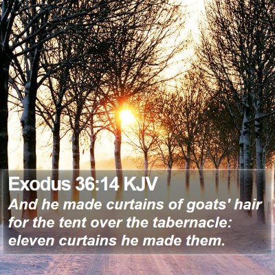 Exodus 36:14 KJV Bible Verse Image