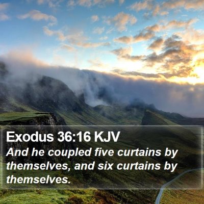 Exodus 36:16 KJV Bible Verse Image