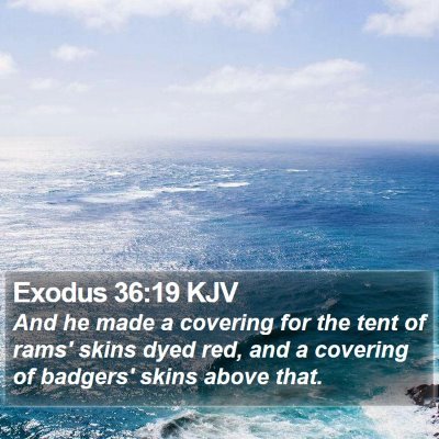 Exodus 36:19 KJV Bible Verse Image