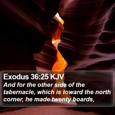 Exodus 36:25 KJV Bible Verse Image