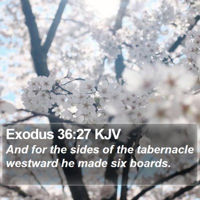 Exodus 36:27 KJV Bible Verse Image